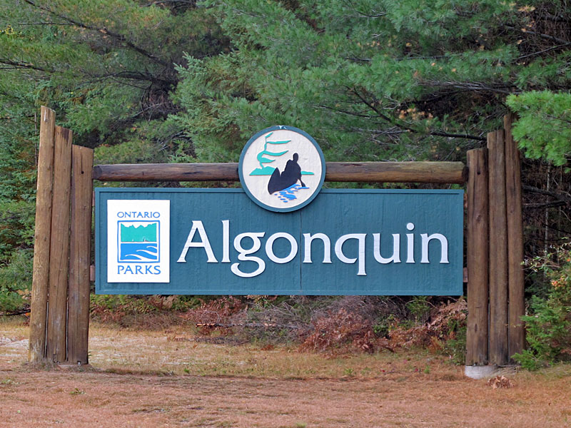 Wanderungen im Algonquin Provincial Park