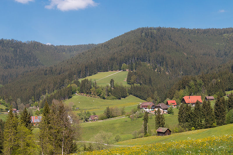 Einige Wanderungen die wir 2014 im Schwarzwald unternommen haben