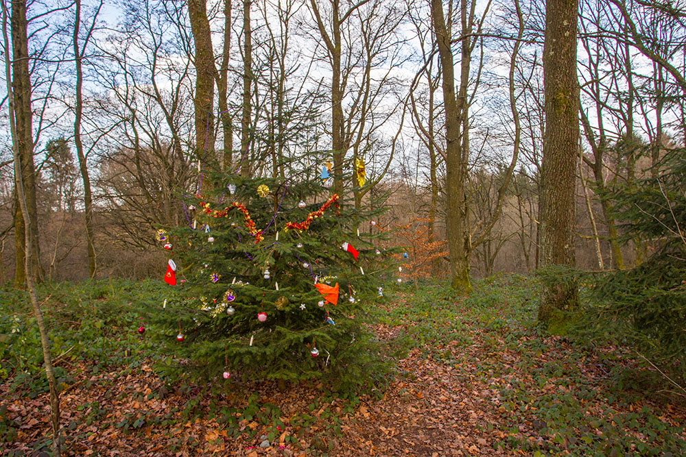 Auch steht mitten in der Landschaft ein Weihnachtsbaum ;-)