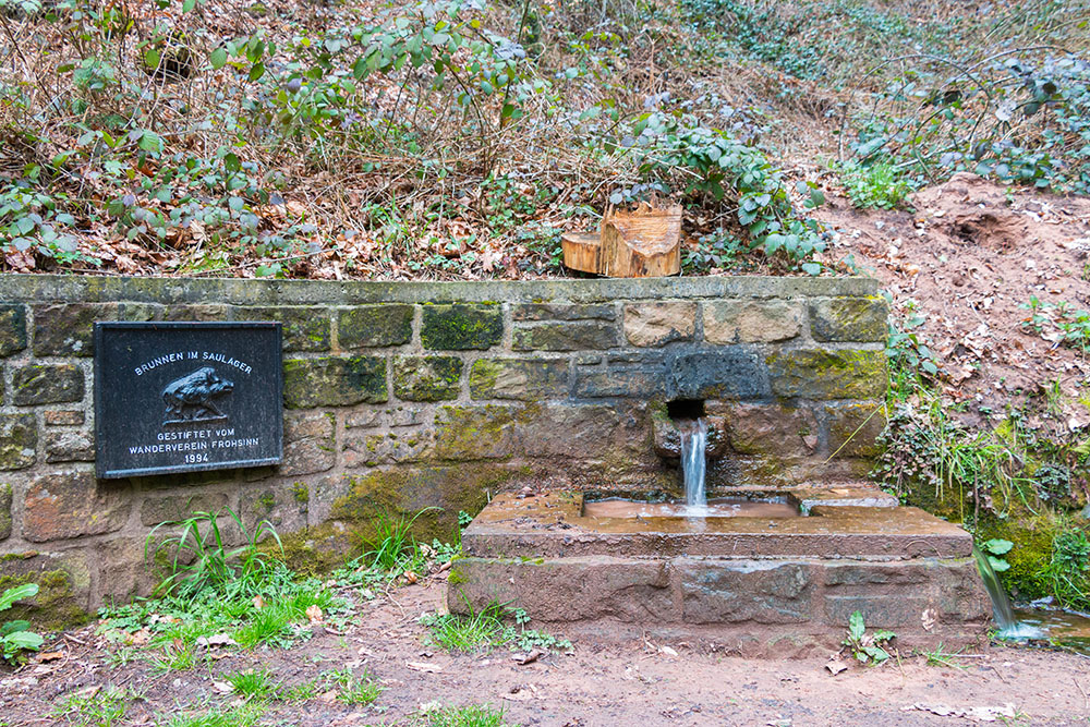 Brunnen im Saulager