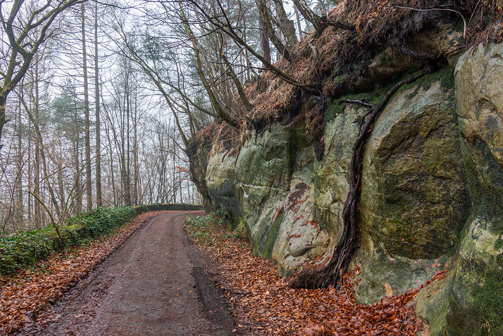 Der Kirkeler Tafelweg läuft zum Teil parallel mit dem Felsenweg