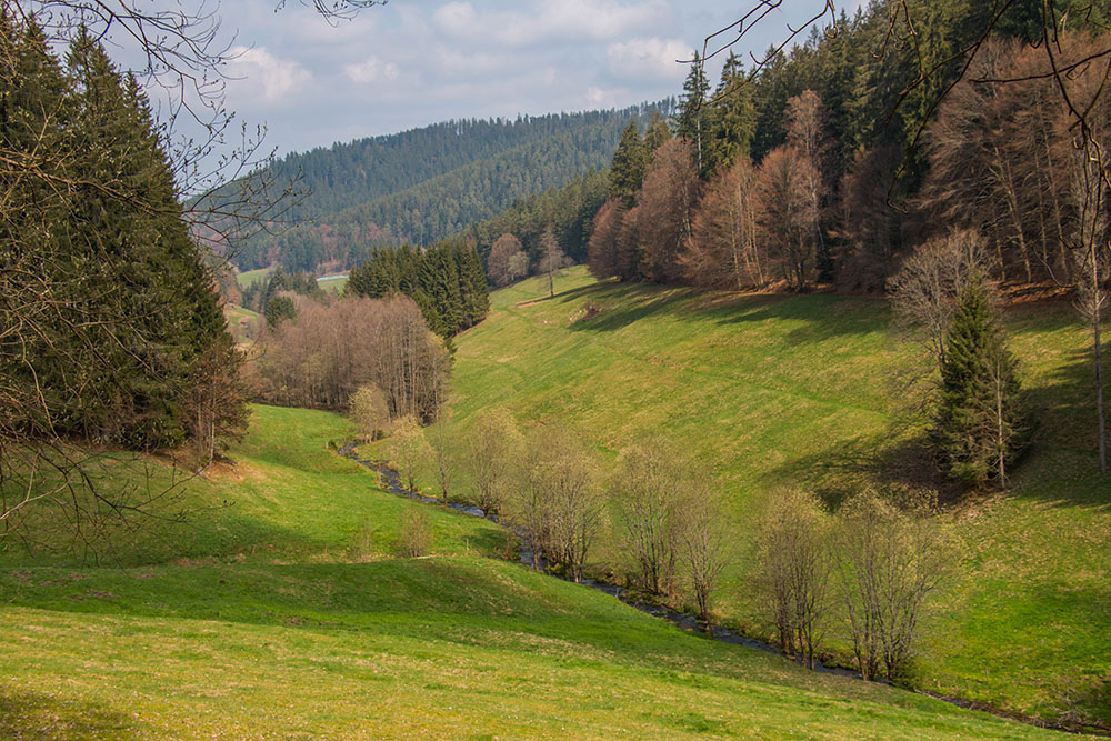 Der Reichenbach fließt malerisch durch das Tal