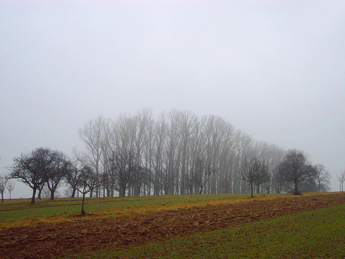 Das Wetter war neblig und trüb