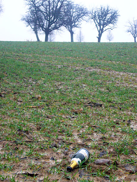 Oh du fröhliche ...