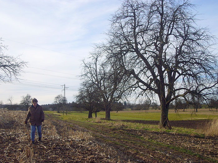 Wenn der Weg vermatscht ist, muss man auf's abgeerntete Feld ausweichen