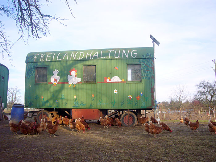 Ökologischer Hühneranbau ;-)