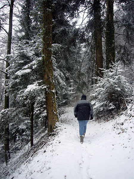 Zunächst stetig bergauf