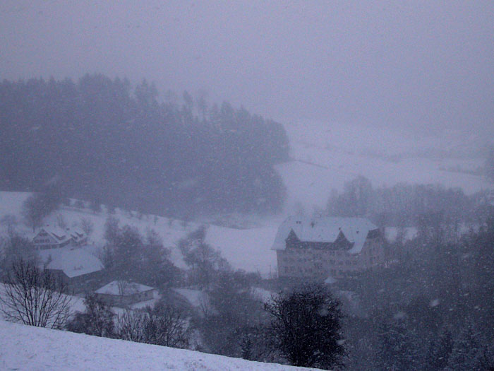Blick auf die Schwarzwaldklinik (TV-Serie)
