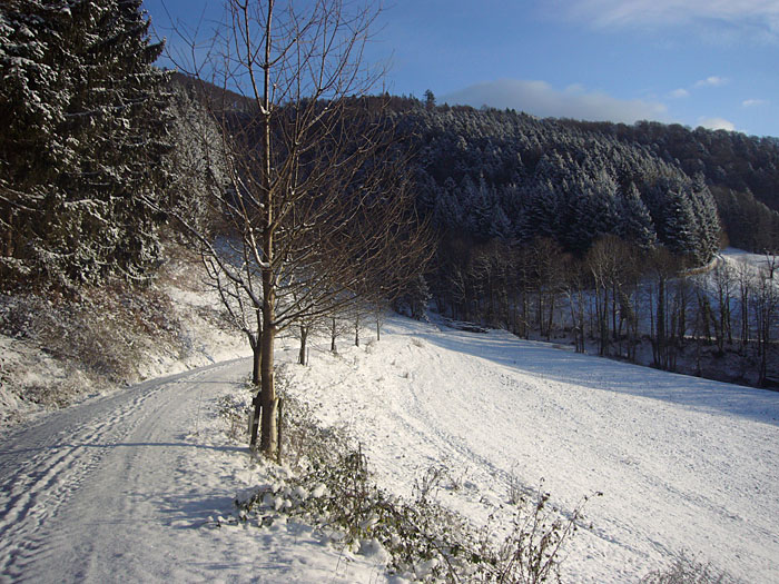 Und sogar noch mehr Sonne