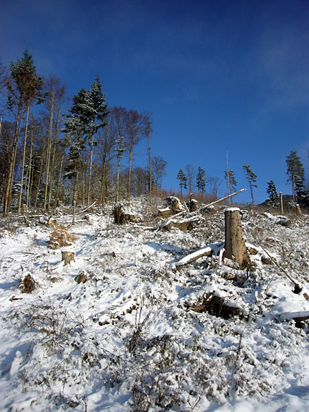 Da geht es mehr um den blauen Himmel ;-)