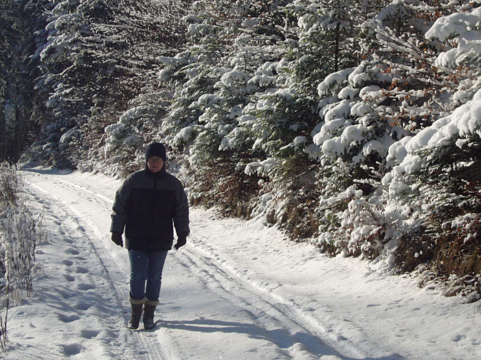 In den Fahrspuren lässt es sich noch gut laufen ...