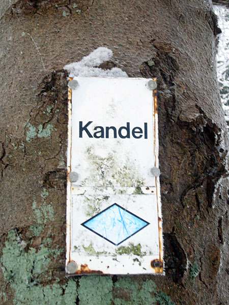 ... bis zum Kandel-Gipfel