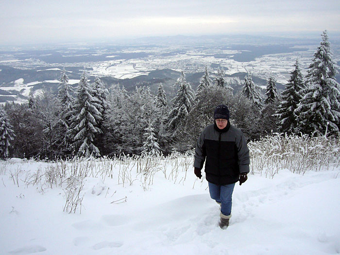 Zumindest schon mal höher als die Bäume