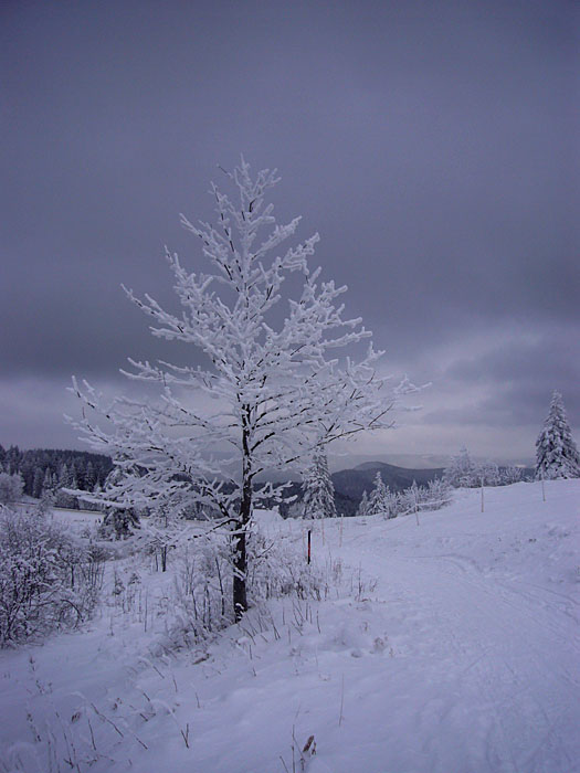 Schneewolken ziehen über die Gipfel
