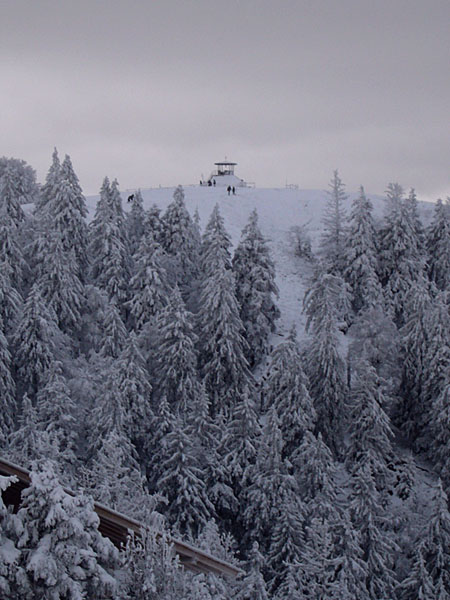 Unser Ziel (außer dem Restaurant), das Kandel-Gipfelhäuschen ...