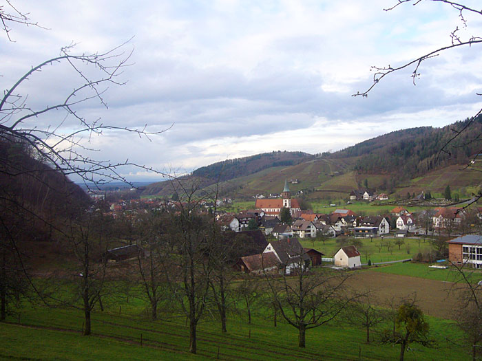 Blick auf Glottertal