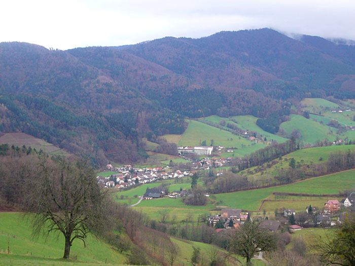 Blick ins Glottertal