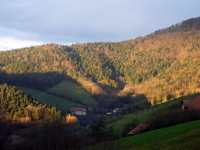 Die Schwarzwaldklinik