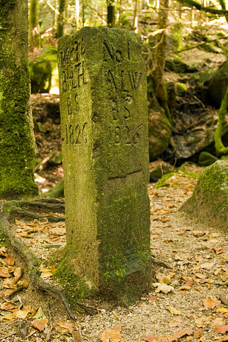 Der Dreimärkerstein von 1826, hier treffen die Markungsgrenzen von Bühlertal, Bühl und Altschweier zusammen