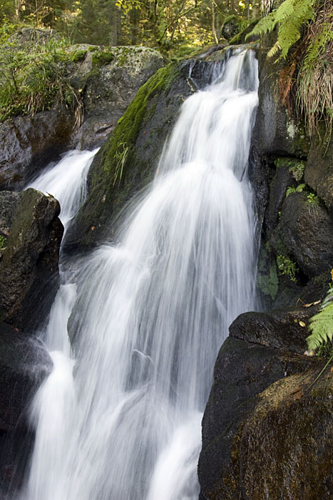 Wasser ist was schönes, wenn es nicht wie in den letzten Tagen ständig vom Himmel kommt