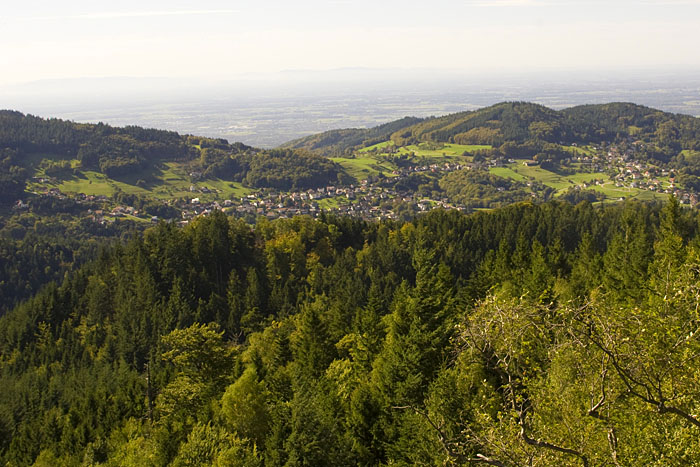 Blicke von der Hertahütte auf dem Falkenfelsen ins Wiedental