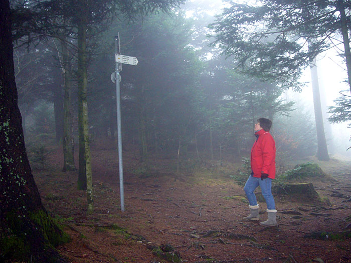 Am Aussichtspunkt Lindlehöhe ...