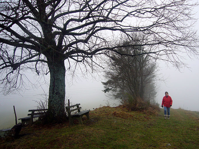 Weiter geht's auf gleicher Höhenlinie