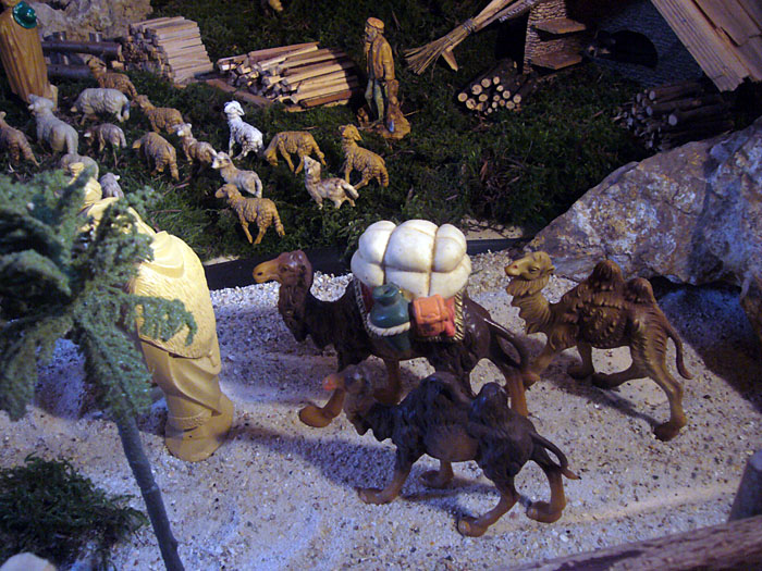 Die Kamele der fünf heiligen drei Könige ;-)