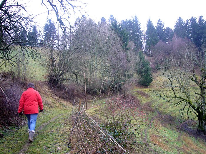 Wir wandern zurück in den Wald
