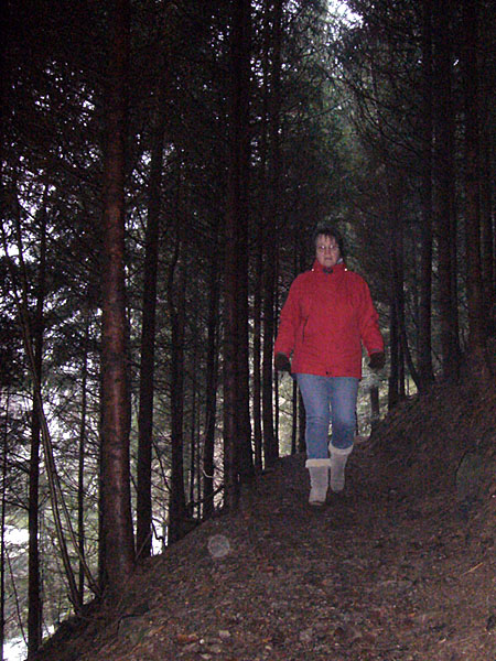 Hier macht der Schwarzwald seinem Namen Ehre