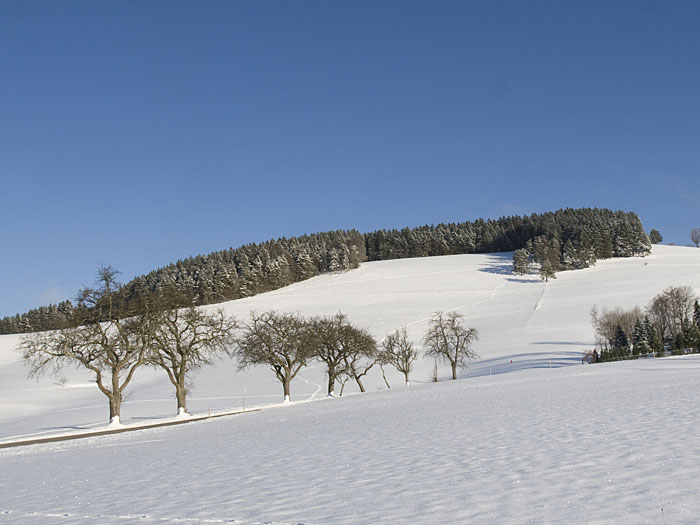 Vor zwei Tagen war noch nichts von der weißen Pracht zu sehen