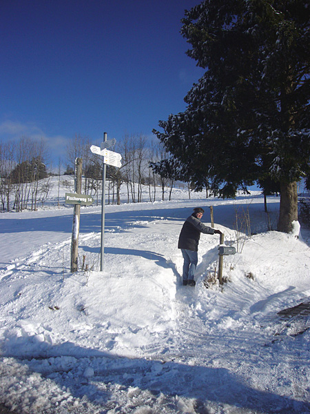 ... dann geht es wieder auf Pfaden weiter