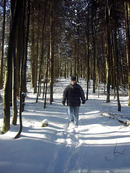 Hier geht es noch halbwegs normal vorwärts ...