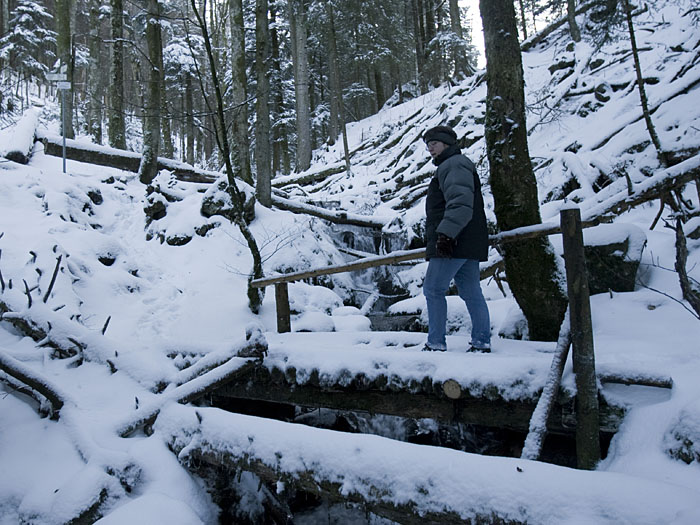 Brücke über den Hirschbach