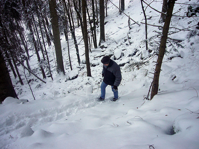 Schritt für Schritt arbeiten wir uns wieder auf 900 m hinauf