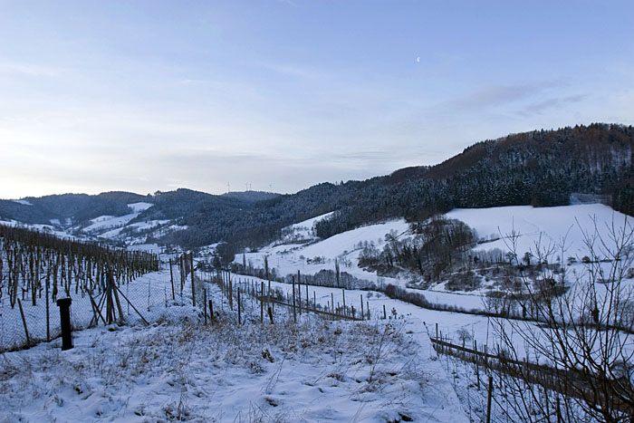 Blick ins Glottertal