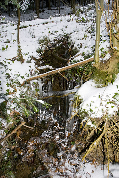 Eiszapfen am Bach