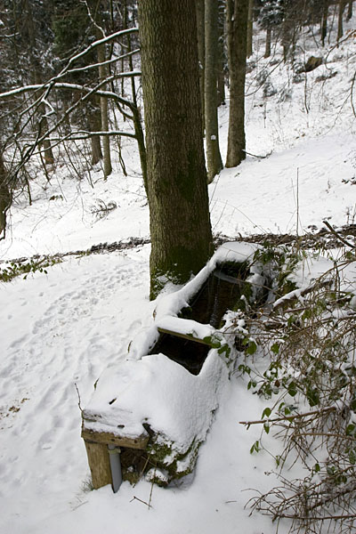 Brunnen im Wald