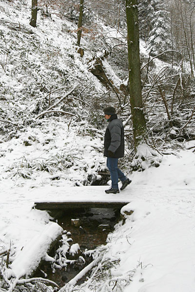 Brückle übers Bächle ;-)