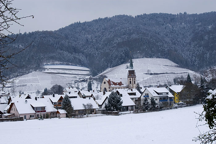 Glottertal mit Kirche St. Blasius