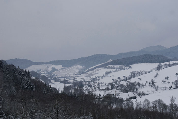 Blick ins Föhrental