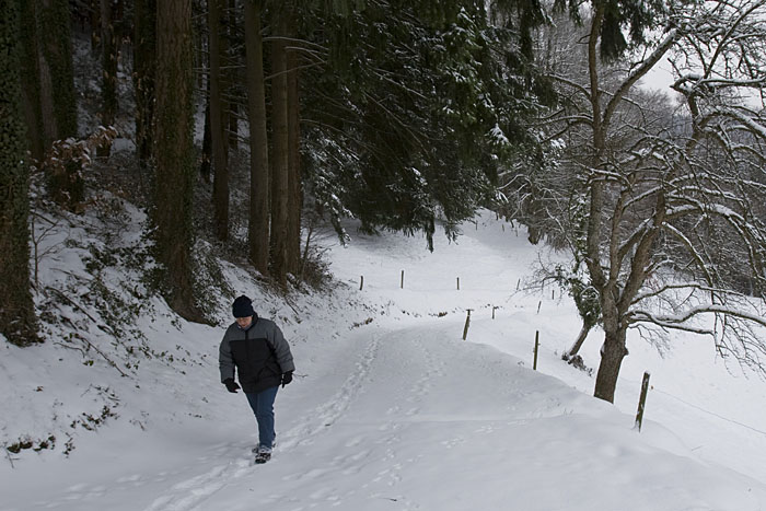 Aufstieg zum Eichberg