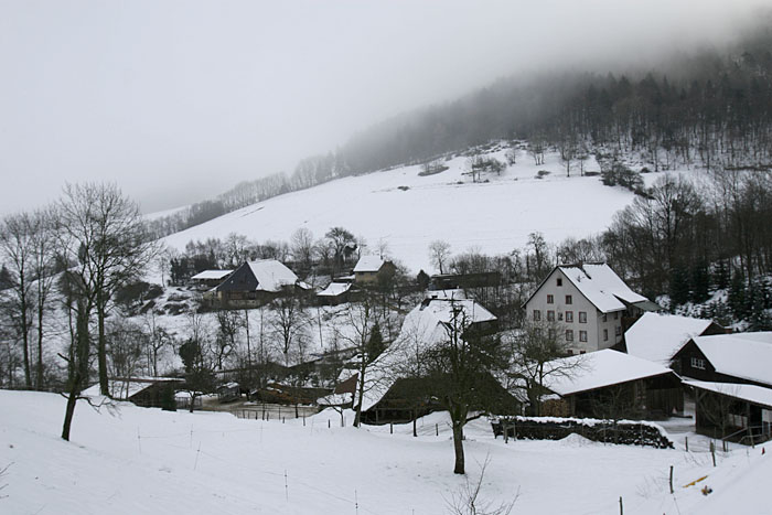 Blick ins Ahlenbachtal