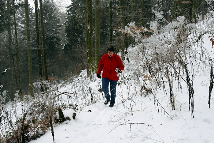 Bergauf auf schmalen Pfaden