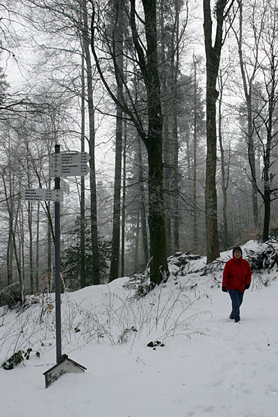 Nächster Orientierungspunkt