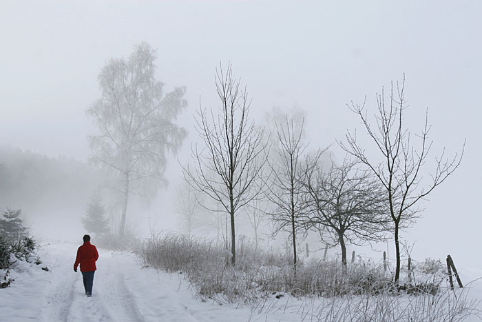 Unterwegs durch kalte Nebelschwaden