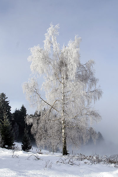 So langsam kommt die Sonne etwas durch ...