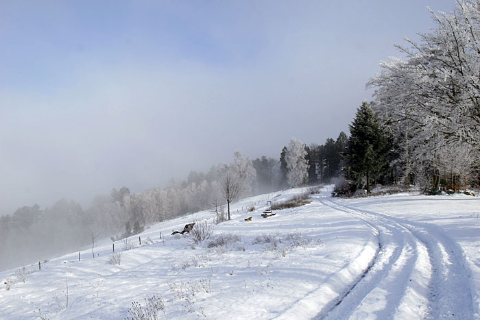 ... so könnte das Wetter bleiben
