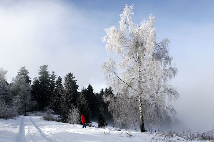 Blick ins winterliche Tal