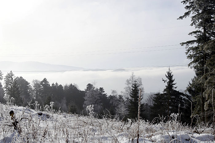 Ausgerechnet da, wo etwas Fernsicht ist, verlaufen Stromleitungen :-(